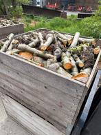 Appelhout / haardhout / kachelhout, Minder dan 3 m³, Ophalen, Overige houtsoorten, Blokken