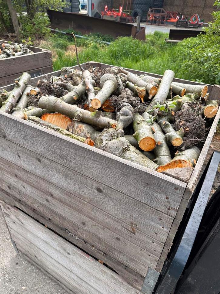 2 zomers gedroogd Appelhout / haardhout / kachelhout, Tuin en Terras, Haardhout, Blokken, Overige houtsoorten, Minder dan 3 m³