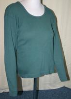 Groen V&D rib shirt met lange mouw, mt M, Kleding | Dames, T-shirts, Maat 38/40 (M), V&D, Ophalen of Verzenden, Zo goed als nieuw