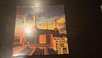 Pink Floyd - Animals LP, Cd's en Dvd's, Vinyl | Rock, Ophalen of Verzenden, Gebruikt, 12 inch, Progressive