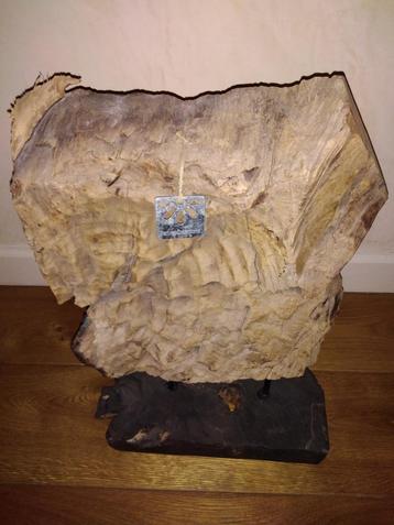 Mooie robuuste natuur hout op voet.  beschikbaar voor biedingen