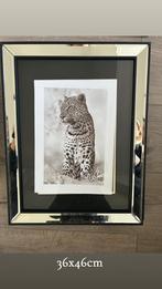 Diverse fotolijsten te koop - Verschillende maten, Ophalen of Verzenden, Gebruikt, Foto of Poster, Minder dan 50 cm