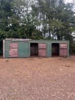 Containerstal 3 stallen, Weidegang, 2 of 3 paarden of pony's