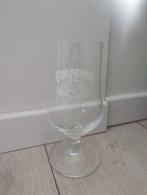 Bierglas van gulpener dort, Ophalen of Verzenden, Zo goed als nieuw, Bierglas