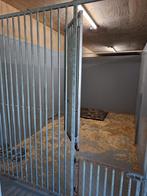 Hondenren hondenkennel hondenkooi, Ophalen, 110 cm of meer, 100 cm of meer