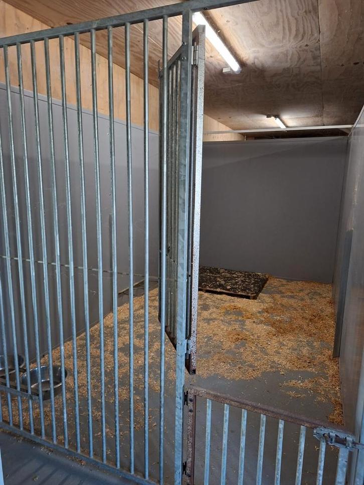Hondenren hondenkennel hondenkooi, Dieren en Toebehoren, Hondenhokken, 100 cm of meer, 110 cm of meer, Ophalen