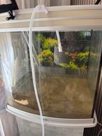 AQUALANTIS Aquarium 120L, Dieren en Toebehoren, Ophalen, Gebruikt, Leeg aquarium