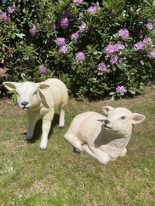 (Tuin)Beeld texel schaap lammetje, tuin, boerderij 55 cm, Tuin en Terras, Tuinbeelden, Nieuw, Dierenbeeld, Kunststof, Ophalen