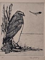 Ets van Ruby Hartzring - Roofvogels, Ophalen of Verzenden