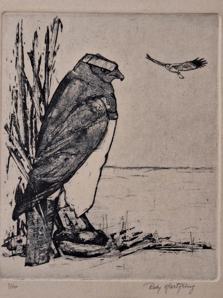 Ets van Ruby Hartzring - Roofvogels, Antiek en Kunst, Kunst | Etsen en Gravures, Ophalen of Verzenden