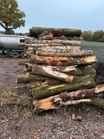 Partij brandhout stammen eik berk beuk wilg es ca 100 kuub, Tuin en Terras, Haardhout, Minder dan 3 m³, Ophalen