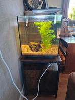 Aquarium superfish qubiq 60 pro als nieuw inclusief kastje, Dieren en Toebehoren, Vissen | Aquaria en Toebehoren, Ophalen, Zo goed als nieuw