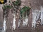 Pauwenveren te koop, Huis en Inrichting, Woonaccessoires | Droogbloemen, Ophalen, Zo goed als nieuw