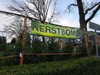 Kerstbomen te koop Koekoeksweg 55 Vaassen, Diversen, Kerst, Ophalen, Nieuw