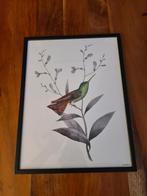 Print van vogel, Vanilla Fly, Ophalen of Verzenden, Zo goed als nieuw