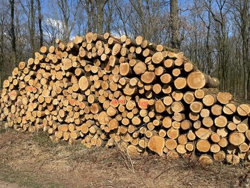 Eikenstammen leverbaar | Volle vrachten stamhout, Tuin en Terras, Haardhout, Stammen, Eikenhout, 6 m³ of meer, Verzenden