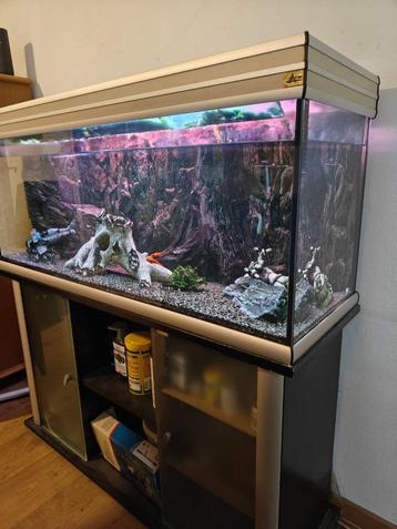 Aquarium met kast en toebehoren. beschikbaar voor biedingen