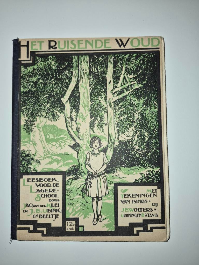 Het Ruisende Woud - Jacyan Derklei & J.B. Ubink, Boeken, Ophalen of Verzenden, Gelezen, Jacyan Derklei & J.B. Ubink, Fictie algemeen