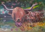 Schilderij SCHOTSE HOOGLANDER 50x70 in lijst en meer...., Ophalen, Schilderij, 75 cm of meer