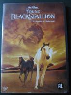 Young Black Stallion (2003), Cd's en Dvd's, Dvd's | Avontuur, Alle leeftijden, Ophalen of Verzenden, Zo goed als nieuw