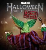Te koop: 2 tickets Walibi Fright Night 26-10, Tickets en Kaartjes, Twee personen
