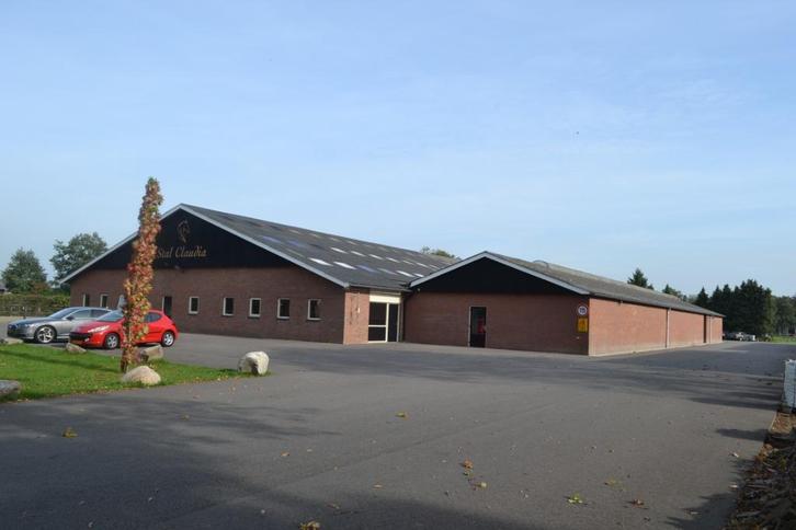 Luxe Paarden Stallen te huur | Omgeving Hengelo, Dieren en Toebehoren, Stalling en Weidegang, 4 paarden of pony's of meer