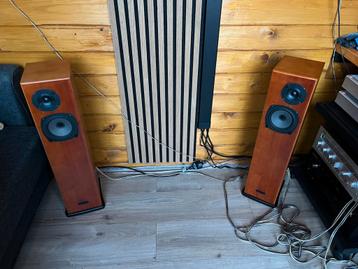 Te koop Rega Alya speakers handgemaakt in Engeland beschikbaar voor biedingen