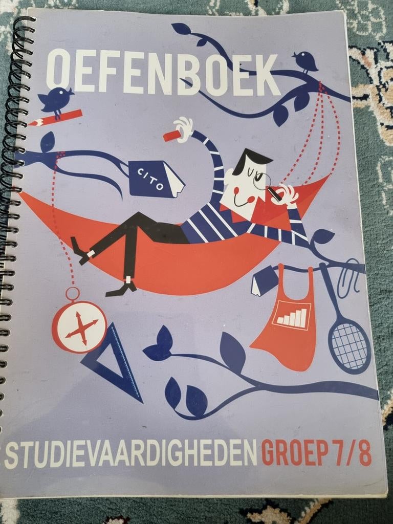 Studievaardigheden grop 7 en 8, Ophalen of Verzenden, Zo goed als nieuw, Overige niveaus, Nederlands
