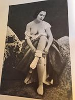 Minstreel van de mesthoop, Ophalen of Verzenden