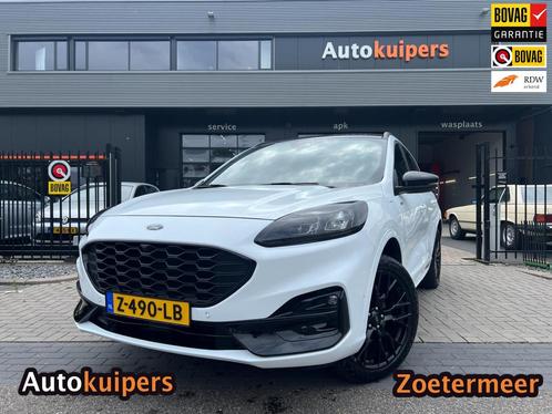 Ford Kuga 2.5 PHEV ST-Line X, Camera, Keyless, Auto's, Ford, Bedrijf, Te koop, Kuga, ABS, Achteruitrijcamera, Adaptive Cruise Control