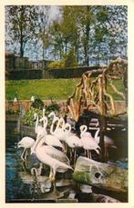(388-021-023) Alphen aan den Rijn Avifauna, Verzamelen, Verzenden, Zuid-Holland