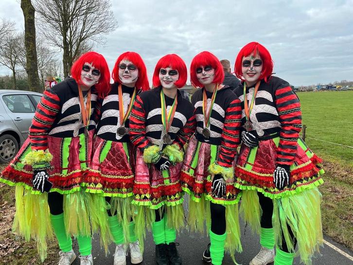 Carnavals Pak Vrouw (4 stuks loopgroep), Kleding | Dames, Carnavalskleding en Feestkleding, Gedragen, Kleding, Carnaval, Ophalen of Verzenden