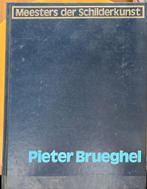 Pieter Bruegel, Boeken, Ophalen of Verzenden, Overige onderwerpen