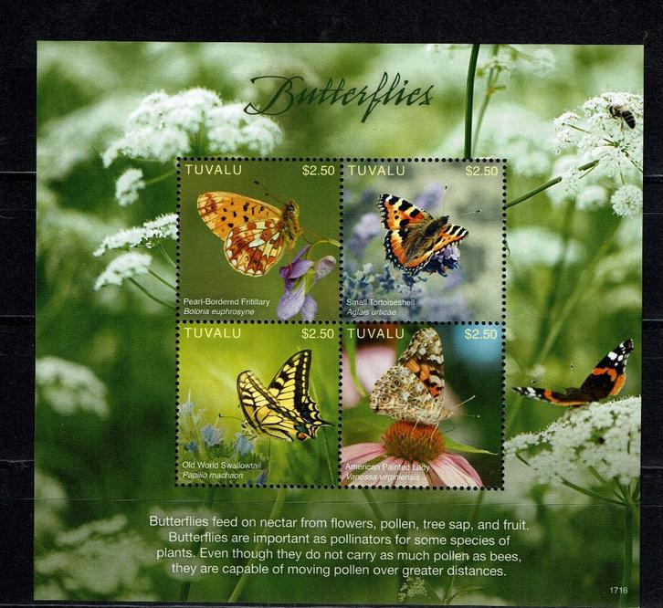 tuvalu 2017 pf blok vlinders butterflies insecten bloemen, Postzegels en Munten, Postzegels | Thematische zegels, Postfris, Dier of Natuur
