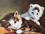 Bert Notenboom, voorstelling met twee kittens, Ophalen