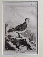 1812 - ets - Strandloper / Sandpiper, Ophalen of Verzenden