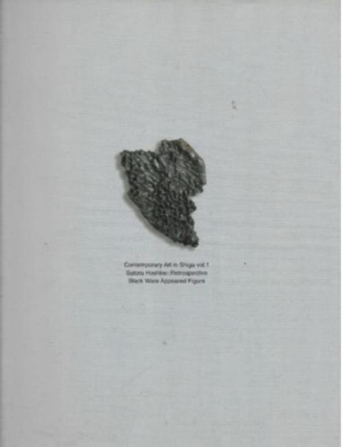 Contemporary Art in Shiga Volume 1 Satoru Hoshino Black Ware, Boeken, Kunst en Cultuur | Beeldend, Zo goed als nieuw, Overige onderwerpen