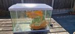 Superfish aquarium, Ophalen, Gebruikt, Leeg aquarium
