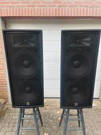 JBL JRX225 passieve luidsprekers dubbel 15 inch 133dB 1000w!, Audio, Tv en Foto, Luidsprekers, Ophalen, Zo goed als nieuw, 120 watt of meer