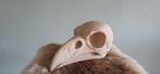 Schedel raaf/vogel/fossiel/skull/terrarium decoratie/bio, Ophalen of Verzenden, Nieuw, Overige typen
