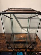 Exo terra terarium, Dieren en Toebehoren, Ophalen, Gebruikt