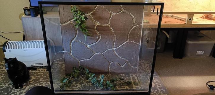 Terrarium te koop, Dieren en Toebehoren, Reptielen en Amfibieën | Toebehoren, Gebruikt, Terrarium of Paludarium, Ophalen