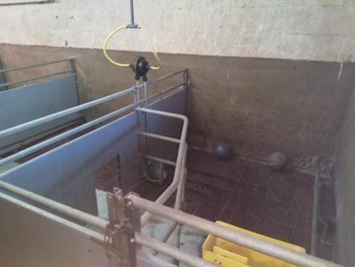 hokinrichting, Dieren en Toebehoren, Schapen, Geiten en Varkens, Meerdere dieren