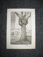 Kleine Petit Tekening / Prent- Knotwilg, Antiek en Kunst, Ophalen of Verzenden