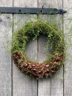 Herfstkrans met kastanjes en mos, Huis en Inrichting, Woonaccessoires | Kransen, Ophalen of Verzenden, Nieuw