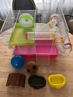 Hamsterkooi, Dieren en Toebehoren, Ophalen, Minder dan 75 cm, Kooi, Minder dan 60 cm