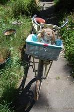 Nog Zonuh Stoeruh Meidenfiets., Ophalen, Gebruikt, 24 inch, Spirit