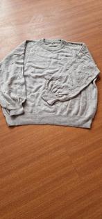 4xl dames trui met parels, Kleding | Dames, T-shirts, Beige, Maat 46/48 (XL) of groter, Nieuw, Ophalen of Verzenden
