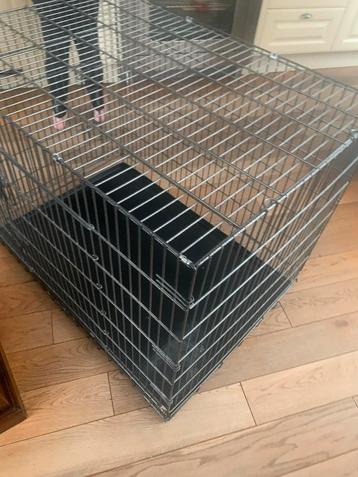 Bench groot voor de hond hondenbench beschikbaar voor biedingen