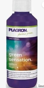 Green sensation, Dieren en Toebehoren, Ophalen of Verzenden, Nieuw